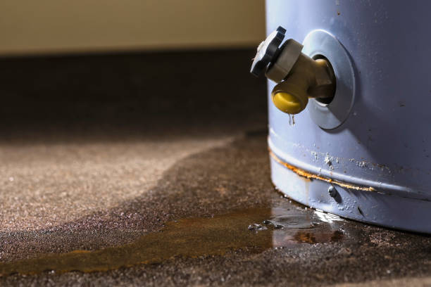 Best 24-hour water damage restoration  in Weaverville, NC