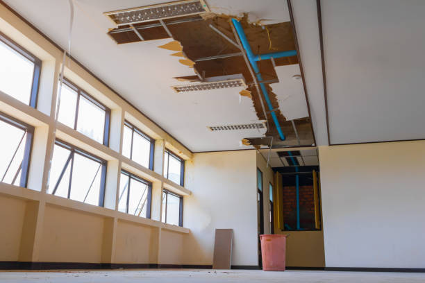 Best Ceiling water damage repair  in Weaverville, NC