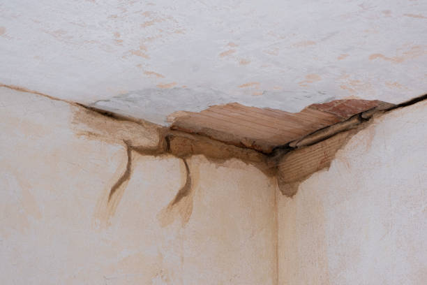 Best Water damage restoration near me  in Weaverville, NC