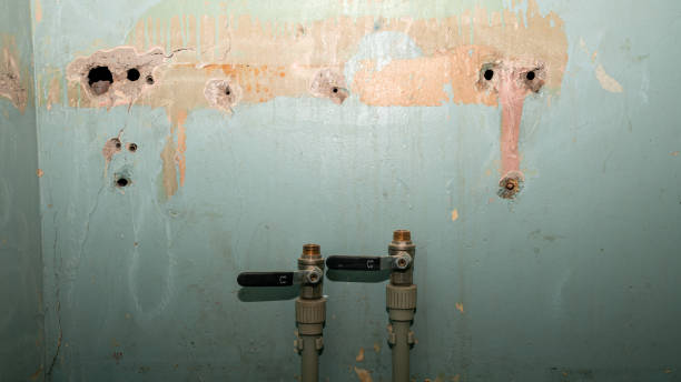 Best Water damage restoration process  in Weaverville, NC