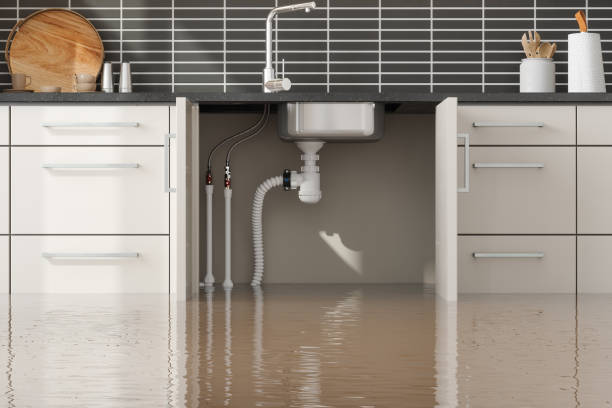 Best Water damage restoration near me  in Weaverville, NC