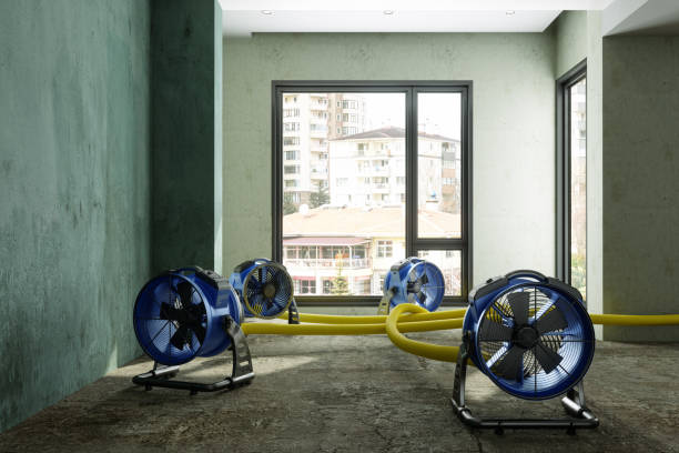 Best Local water damage restoration  in Weaverville, NC